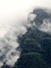 lt;gt;The son of a w