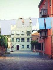 Wine, sex, money and