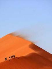 Rebirth of the Urban