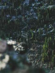 lt;Diga: From Jetton