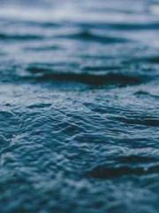 Rebirth in 1970: Eat