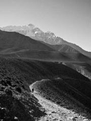 Cultivating My Empre