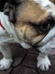 A wife hopes to rema