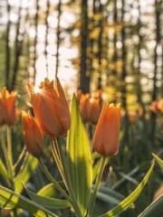 lt;lt;Waste Material